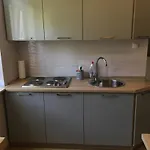 Apartament Ołowianka- Danzig