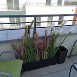 Pitter Apartament