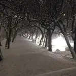 Stara Oliwa