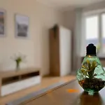 Manhattan Apartment