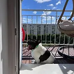 Apartament Z Widokiem Na Morze, 3 Min Ergo Arena