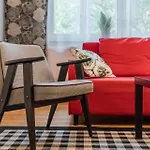 Bella Apartment
