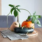 M&J Apartments - Chlebova