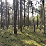 Boso Po Plazy M&K Apartamenty Sobieszewo - Gdansk