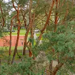 Apartament La Vita Nadmorski