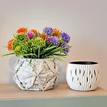 Triapart Nova Grobla 4