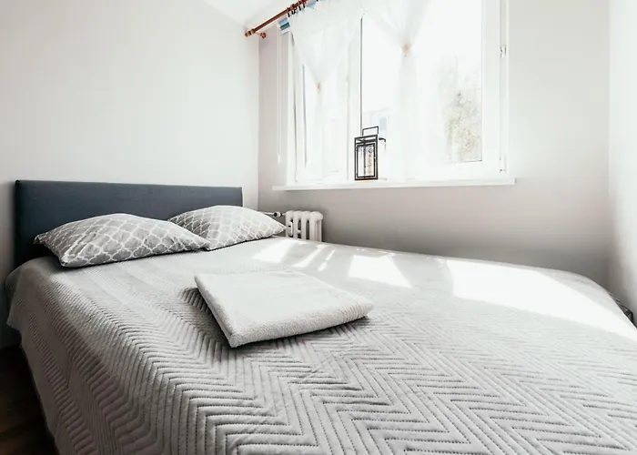 Spacious 3 Bedroom Apartament Near Olivia Business Center