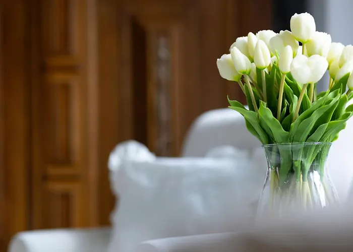 Elite Apartments Mariacka Premium