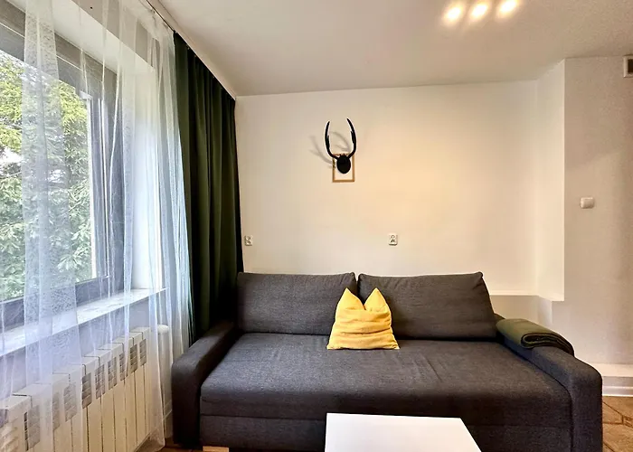 Studio Zubrowe II