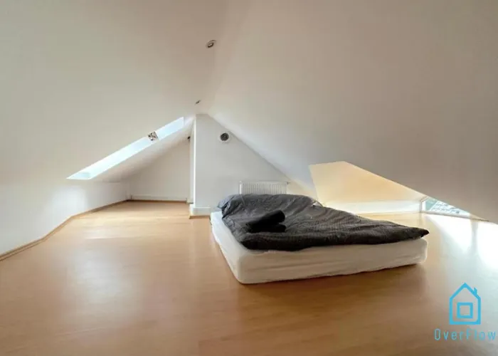 Attic Room