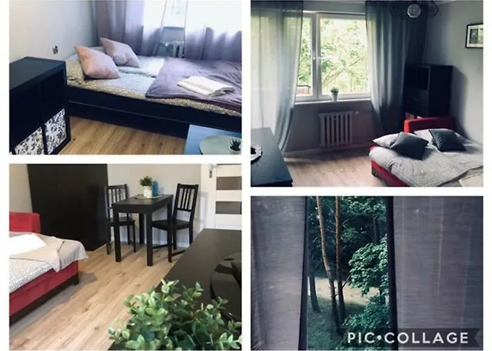 Apartament Oliwa Dla 4 Osob