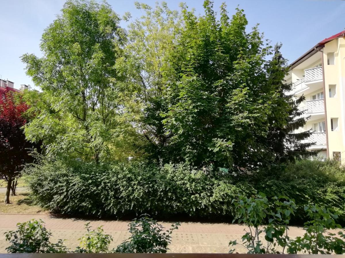 Lelum Polelum Apartment *