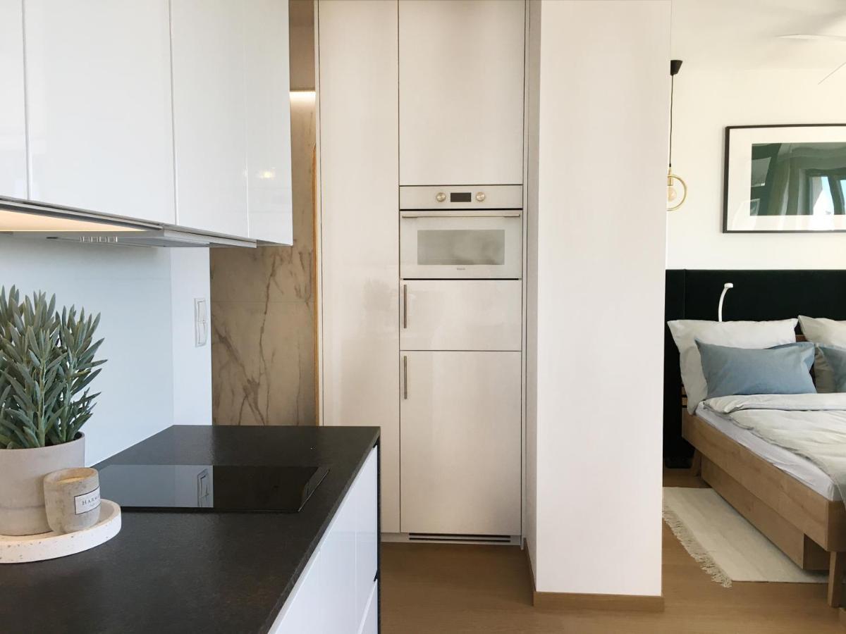 Z Garazem Apartment