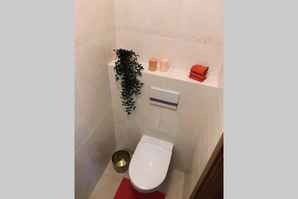 Apartment 5th Floor Big Balkoon Near Park And Baltic Sea Nice View Privat Parking Place
