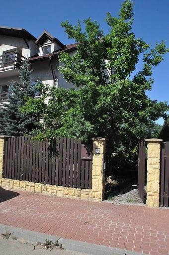 Zakoniczynka *