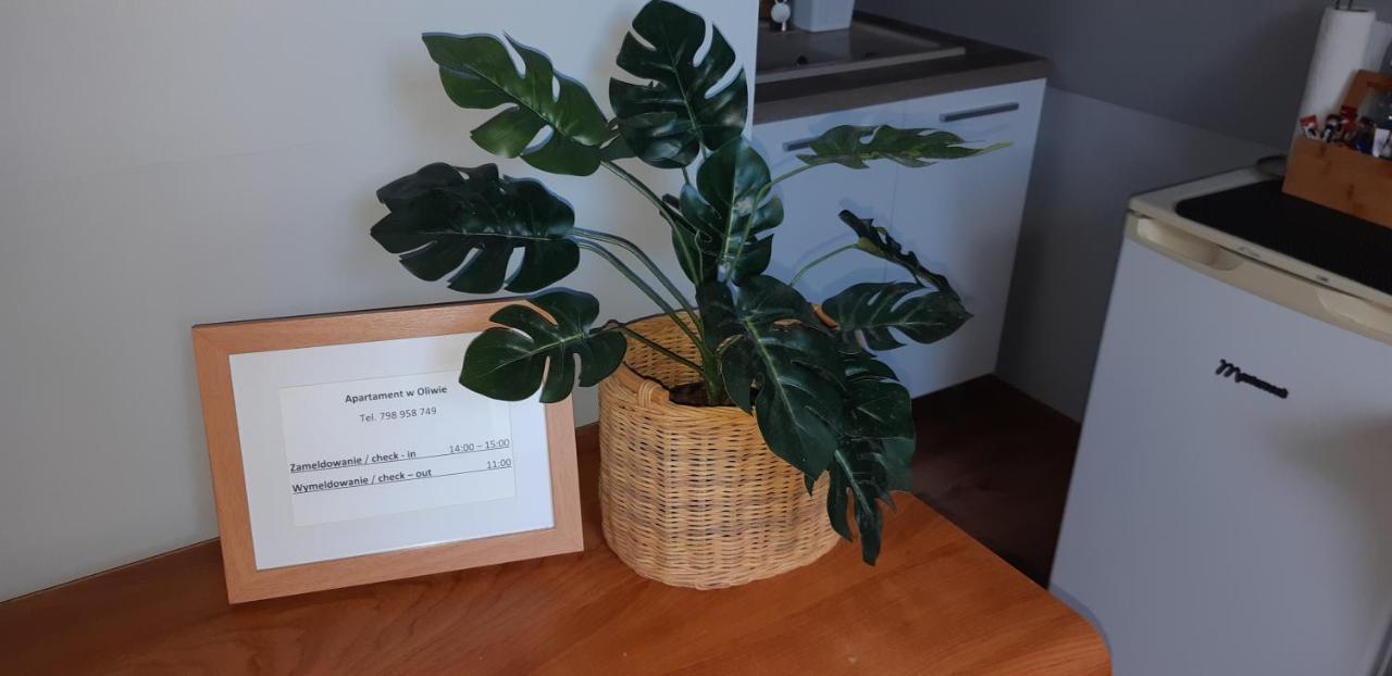 Apartament W Oliwie Lägenhet *
