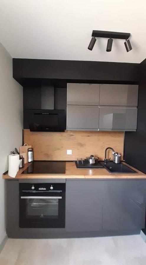 Hokejowa Apartament Apartment *