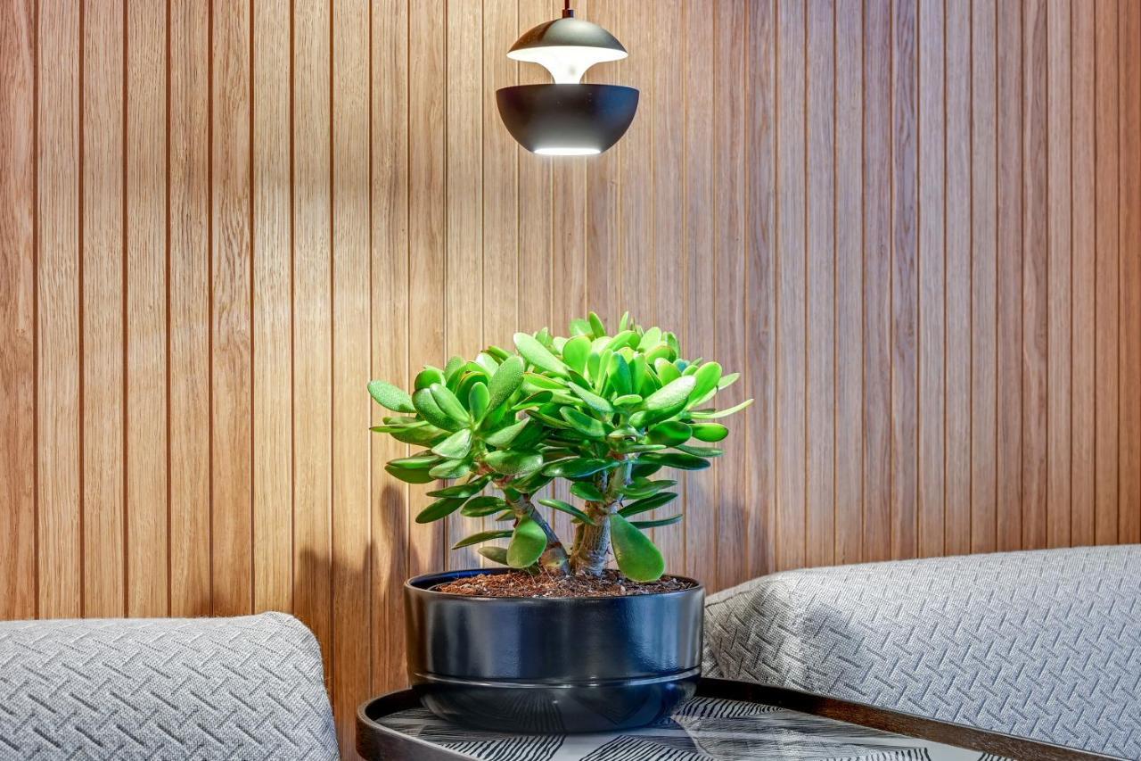 Apartment Dom & House - Granaria *