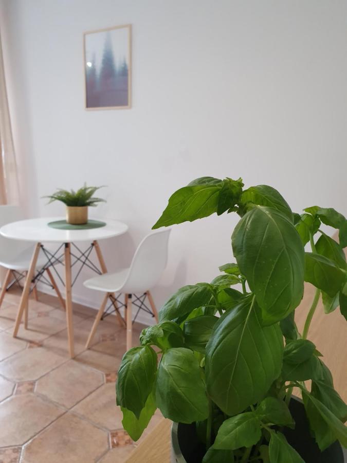 Studio Żubrowa - Gdańsk *