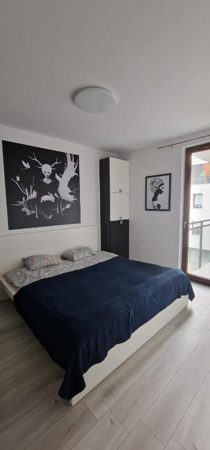 Apart 59 Apartment