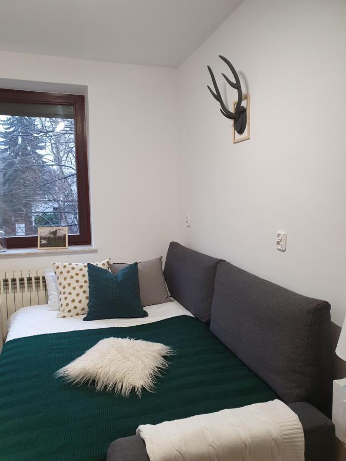 Studio Żubrowa - Gdańsk