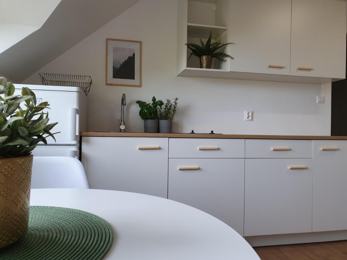 Studio Żubrowa - Gdańsk * Gdańsk