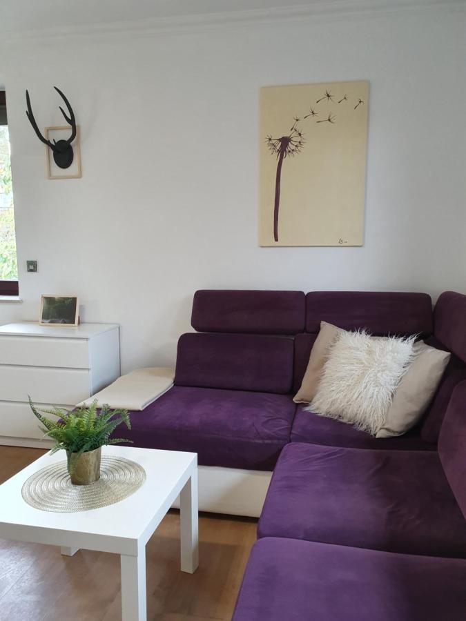 Studio Żubrowa - Gdańsk *