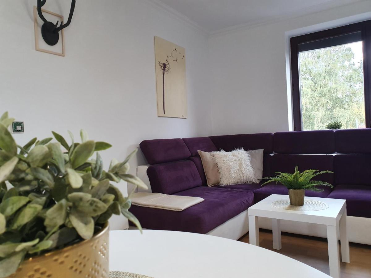 Studio Żubrowa - Gdańsk * Gdańsk