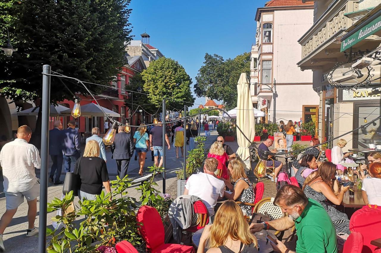 Lux Oliwa Park Przymorze Blisko Plaza Jelitkowo I Sopot Huoneisto Gdańsk