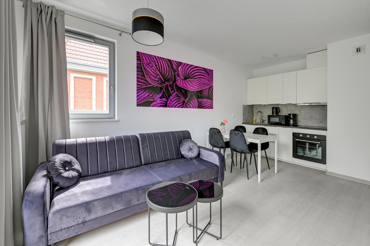 Apartment Comfort Torunska