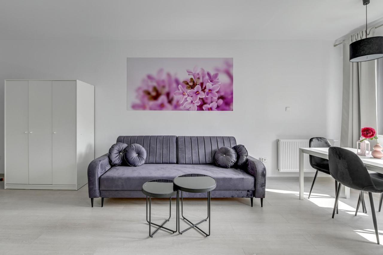 Comfort Torunska