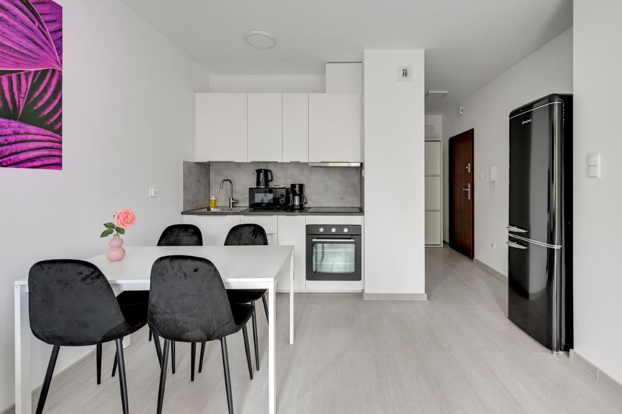 Apartment Comfort Torunska *