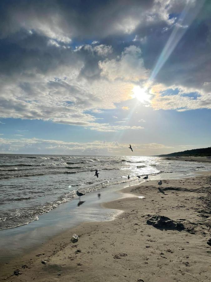 Apartament 15 Min Od Morza Gdańsk