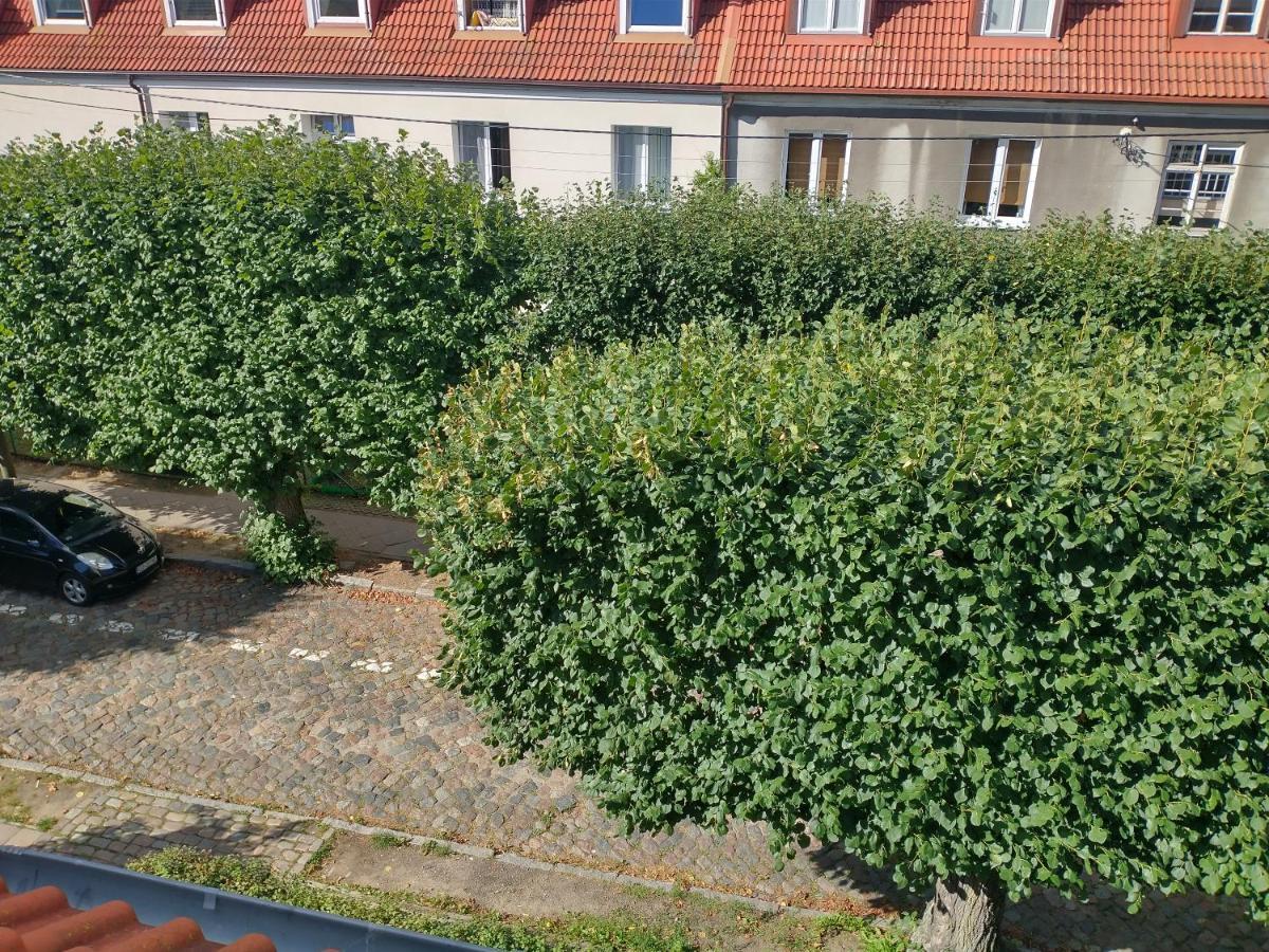 Lägenhet Stara Oliwa Gdańsk