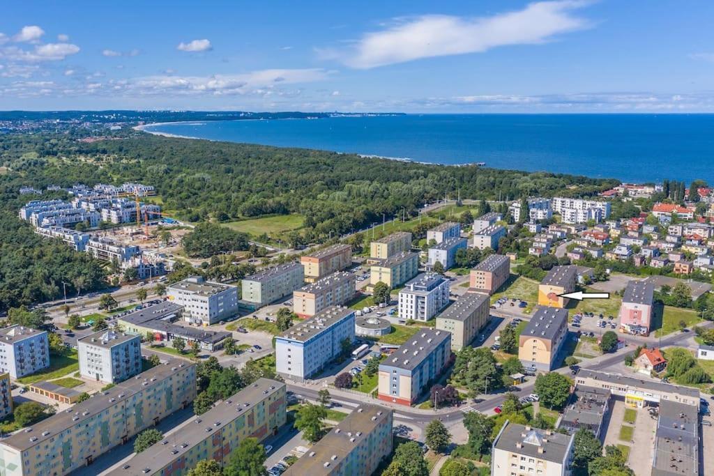 Hello Brzezno Dworska