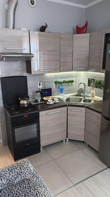 Mieszkanie Przy Zielonej Bramie Apartment