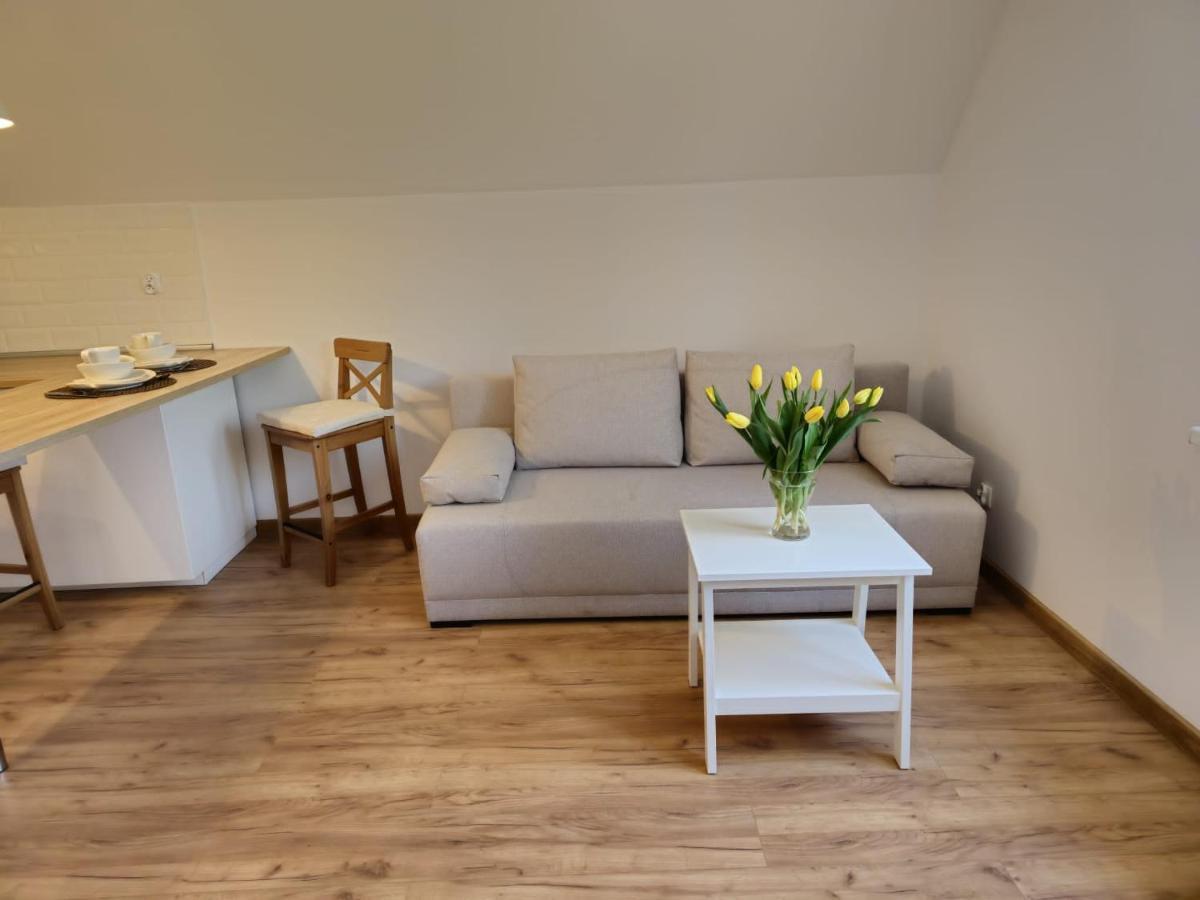 W Sercu Oliwy Apartment *