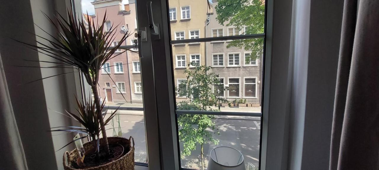 Grobla Iii * Gdańsk