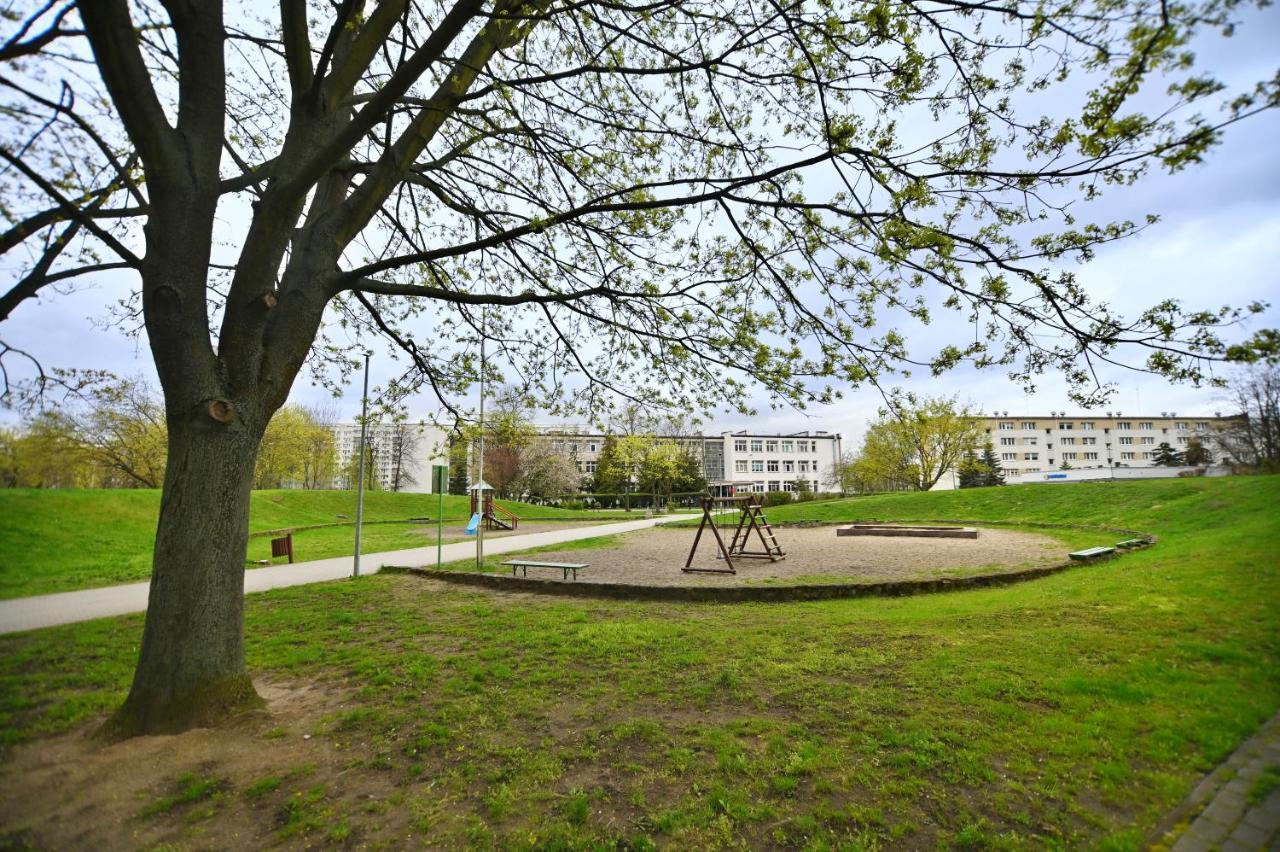 Concreto Deluxe By 3city *