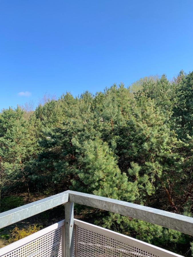 Baltic Olive Homestay