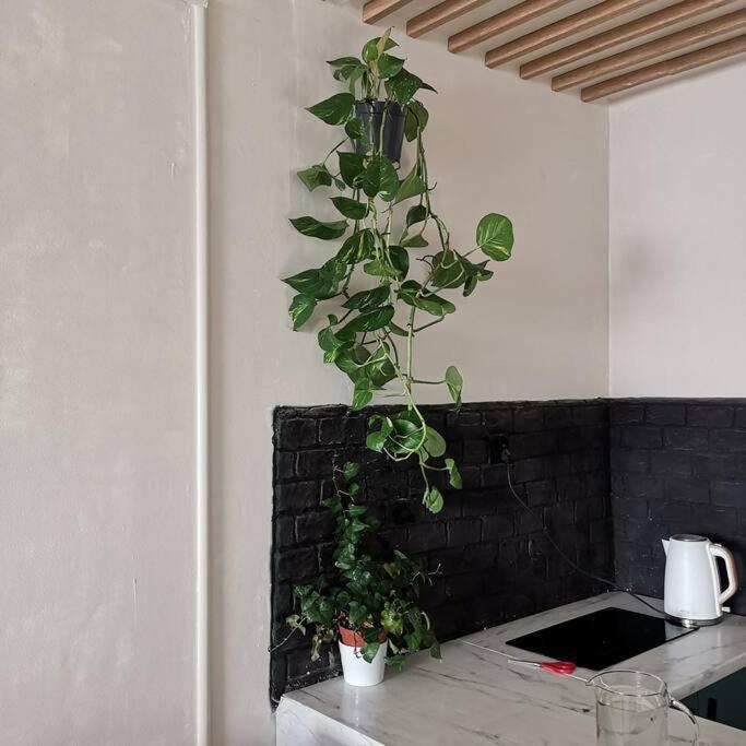 Apartment Urocze Mieszkanie Blisko Morza Danzig