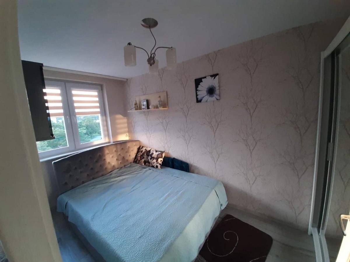 Kalisiowy Apartament Apartment *