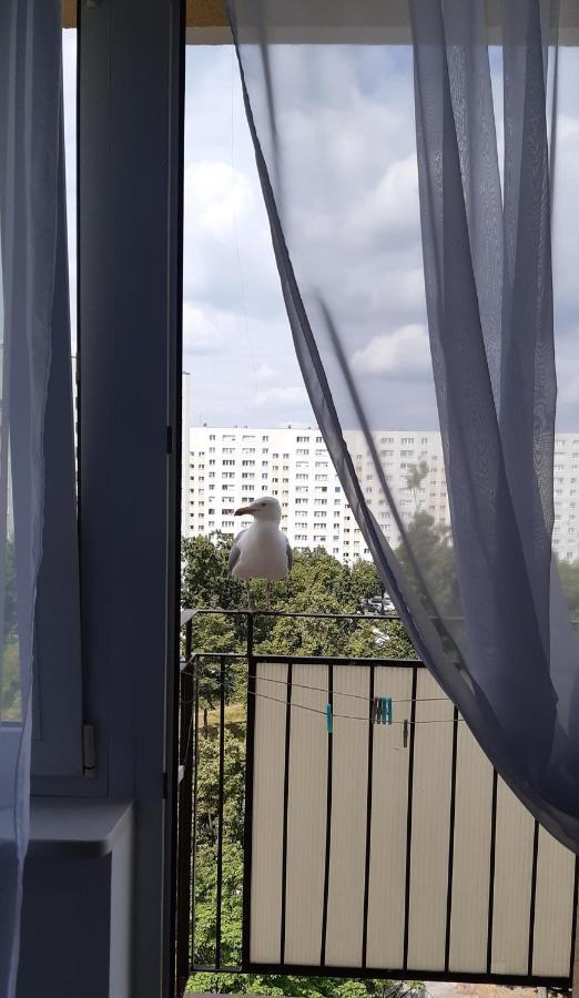 Apartment Seaside Gospody 5a