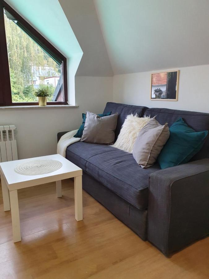Studio Zubrova Leilighet