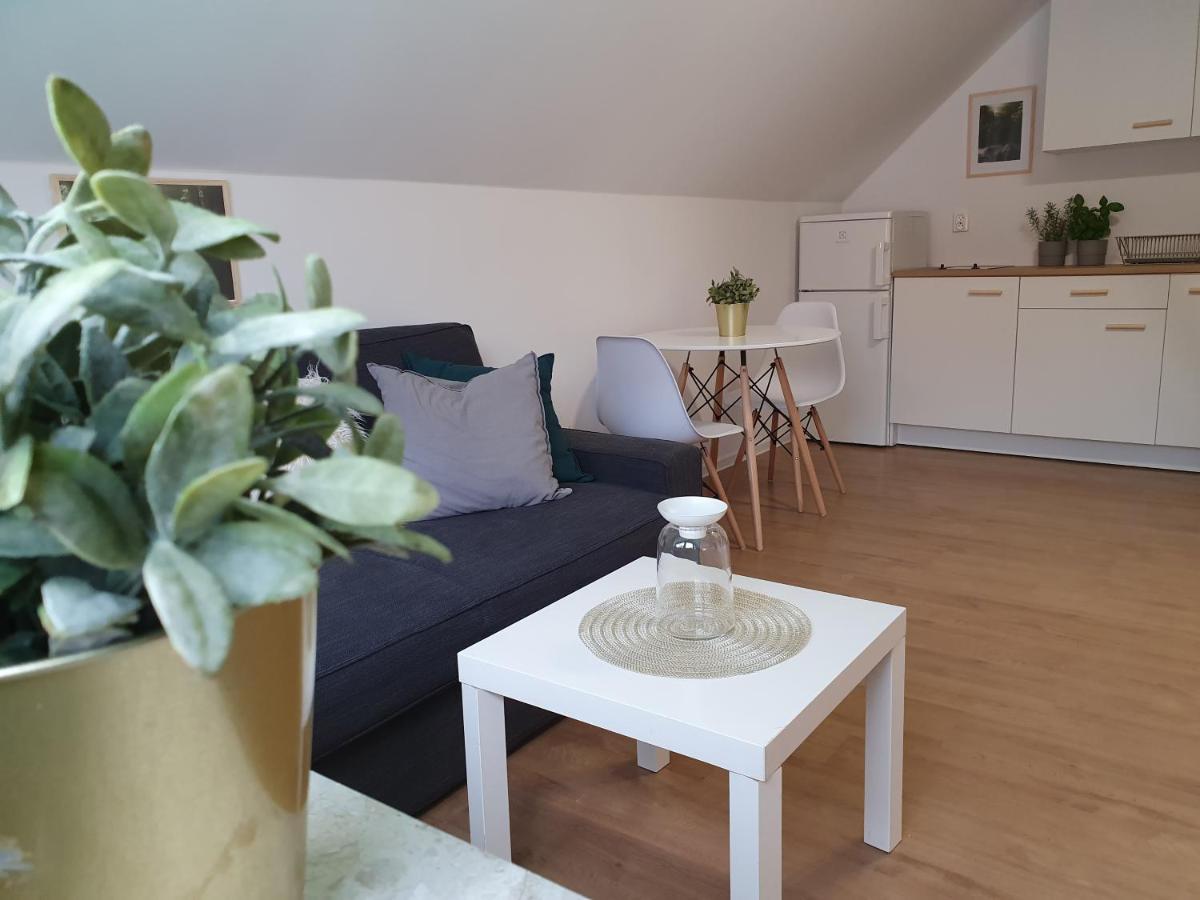 Studio Zubrova Leilighet *