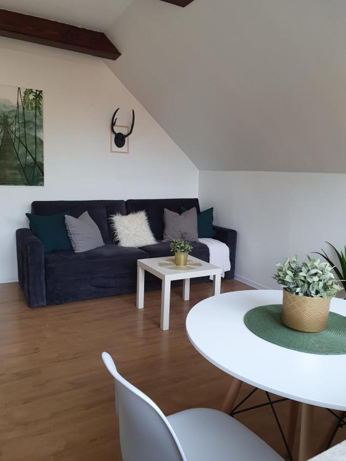 Studio Zubrova Leilighet *