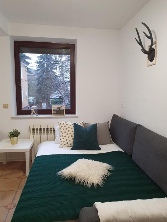Studio Zubrova Leilighet *