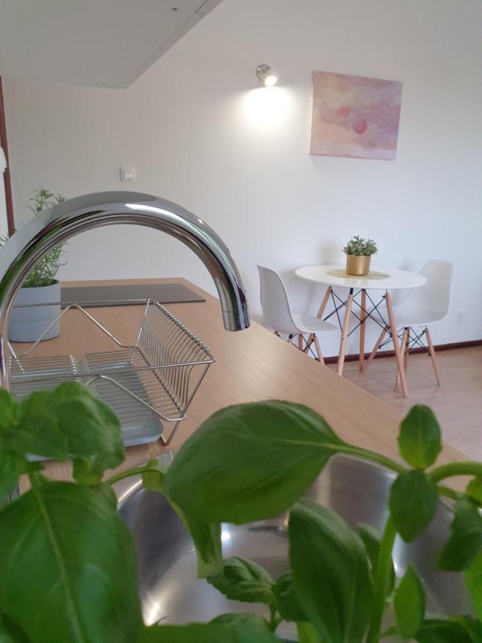 Leilighet Studio Zubrova *