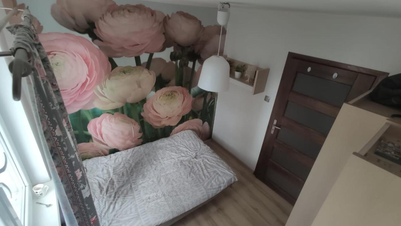 Apartament Dlugie Ogrody 36 *
