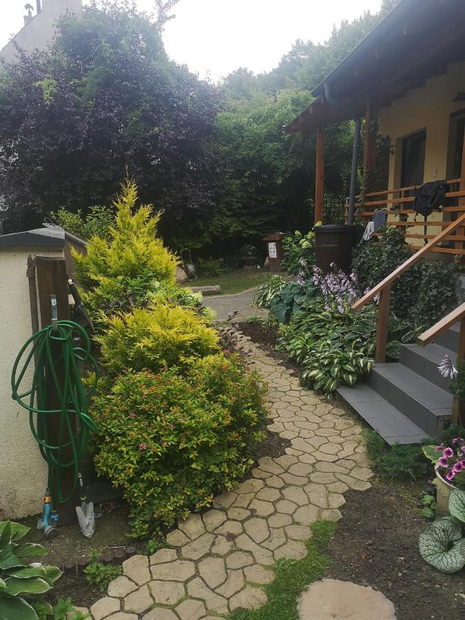 Przy Lesie 2 Apartamento